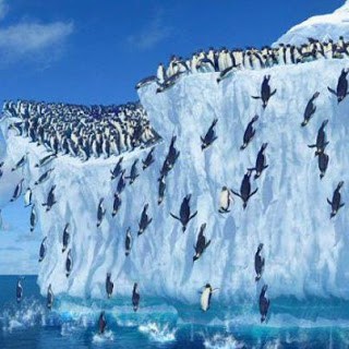 penguinsjump