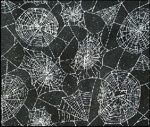 Spiderweb3